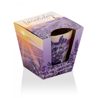 lavender-fields1.jpg
